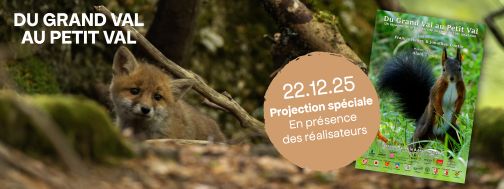 Banner petitval 22.12.2025